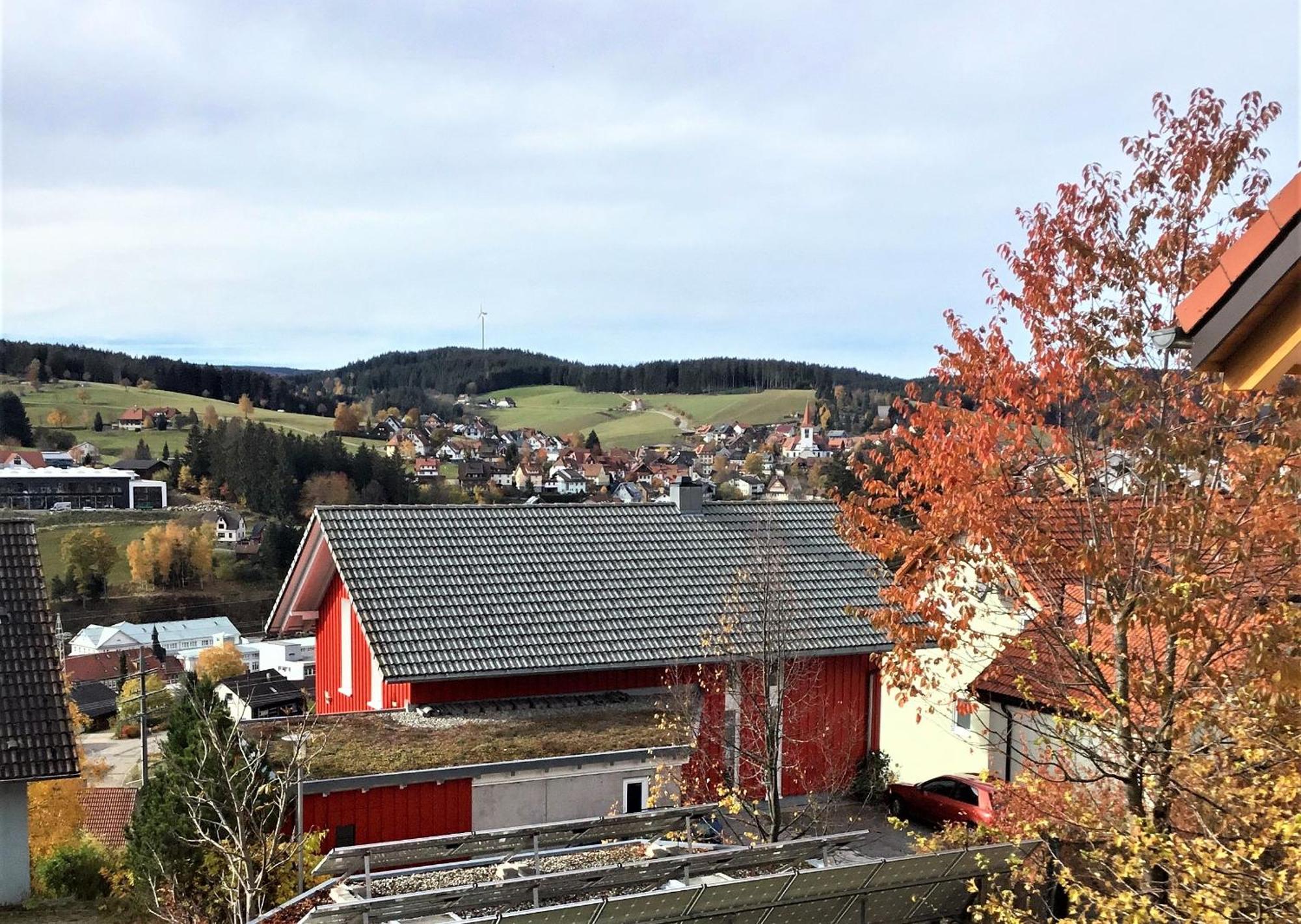 Alexander Feiss Lägenhet Schonach im Schwarzwald Exteriör bild